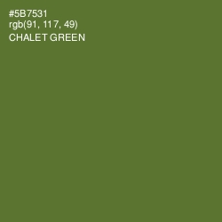 #5B7531 - Chalet Green Color Image